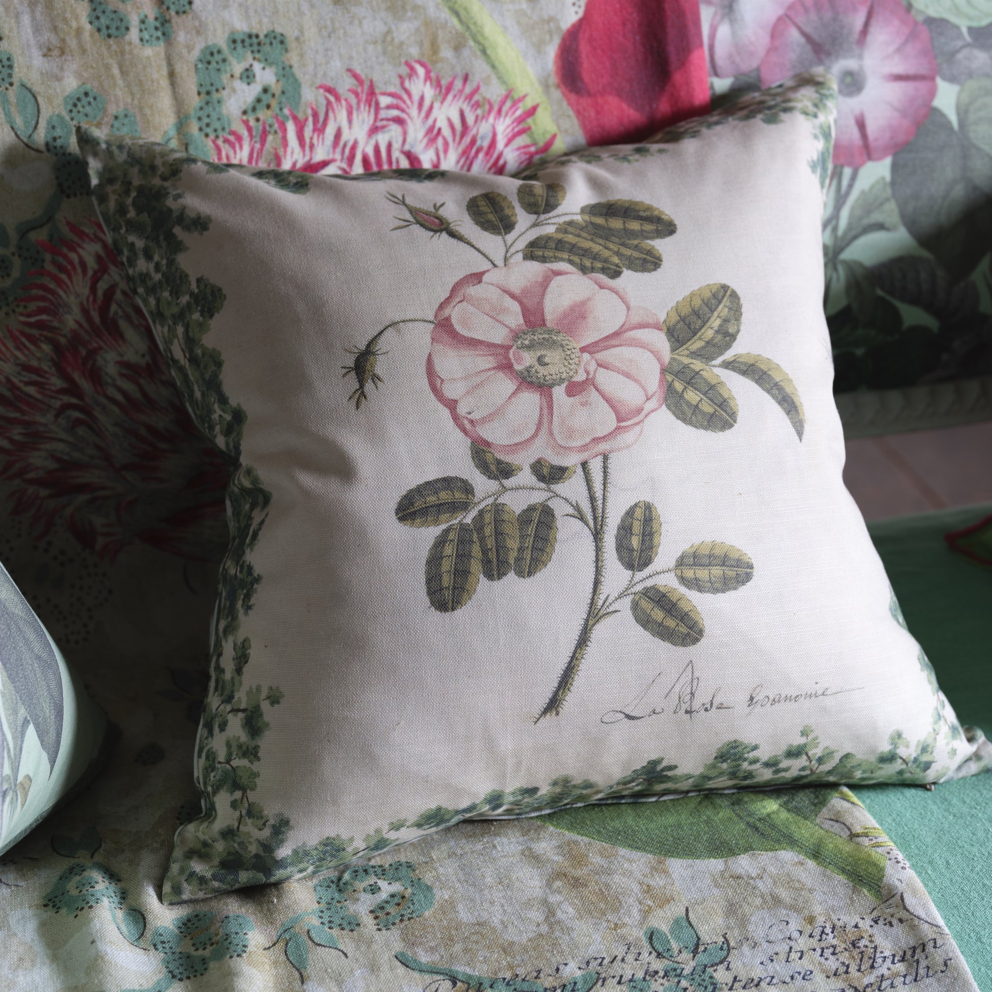 ue de face du coussin John Derian imprimé rose botanique