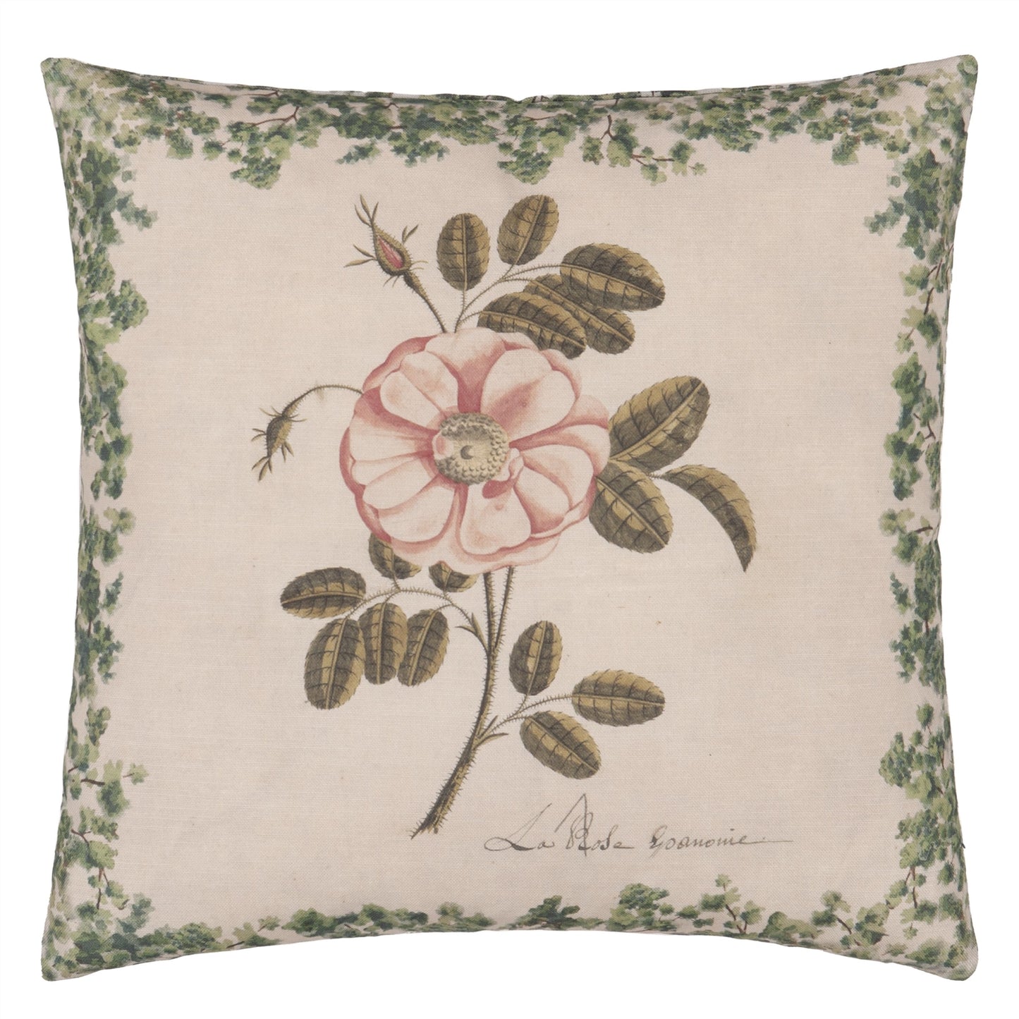 ue de face du coussin John Derian imprimé rose botanique