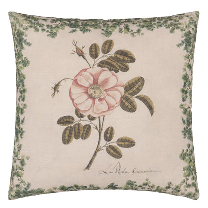 ue de face du coussin John Derian imprimé rose botanique