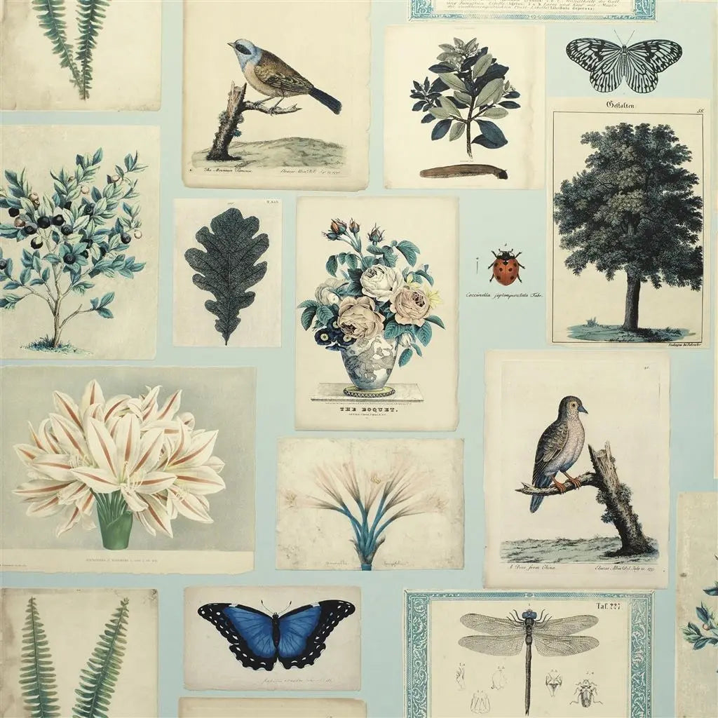 Papier peint Flora and Fauna John Derian motif flore et faune vintage cloud blue