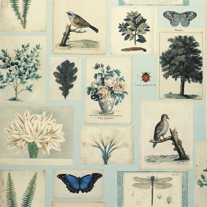 Papier peint Flora and Fauna John Derian motif flore et faune vintage cloud blue