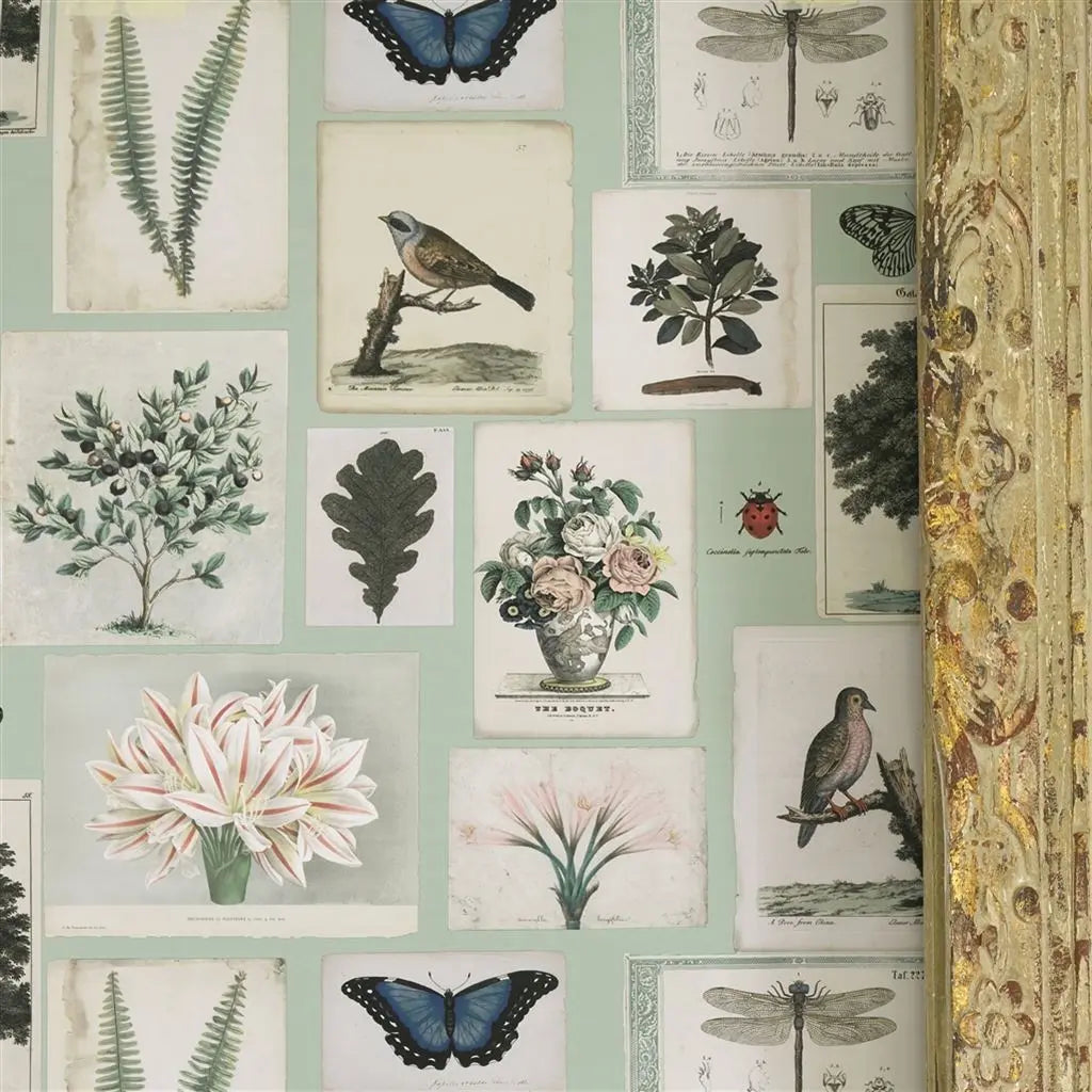 détail Papier peint Flora and Fauna John Derian motif flore et faune vintage