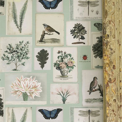 détail Papier peint Flora and Fauna John Derian motif flore et faune vintage