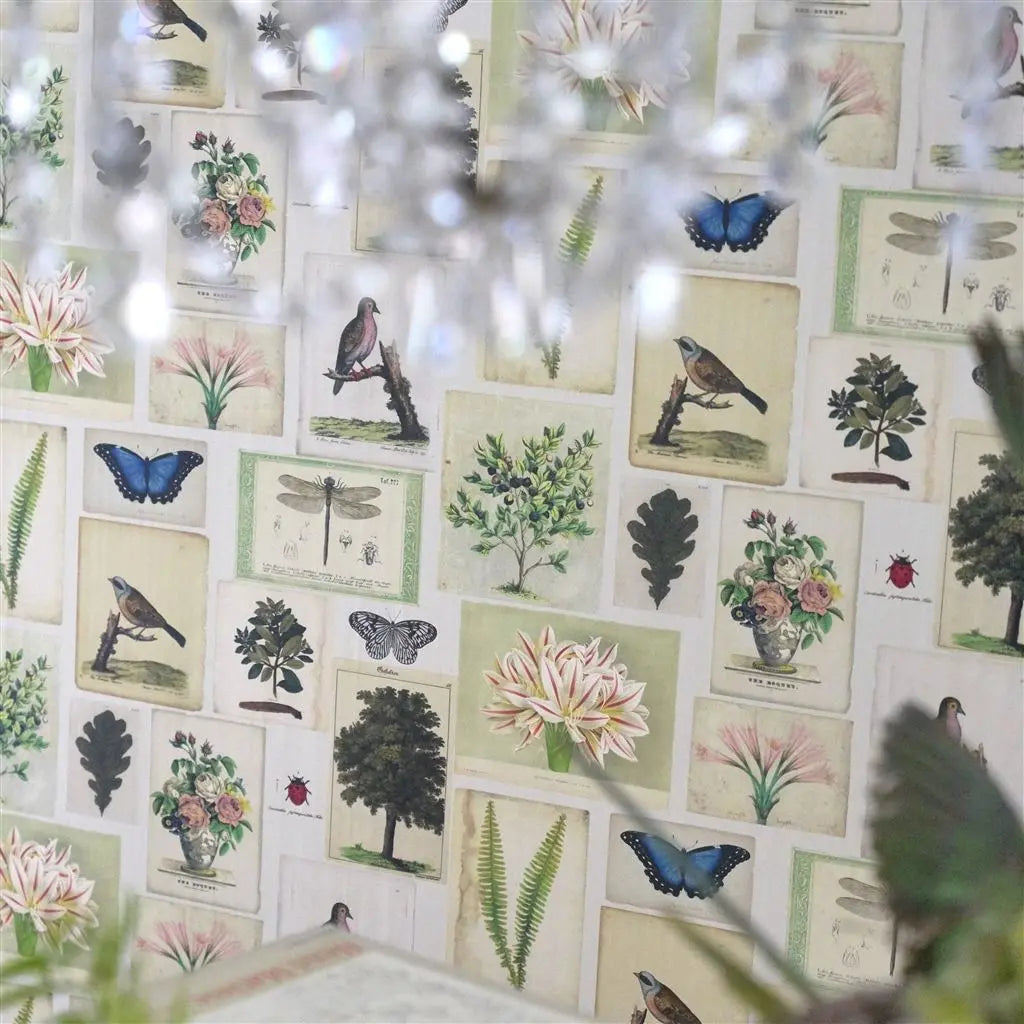 Papier peint Flora and Fauna John Derian motif flore et faune vintage