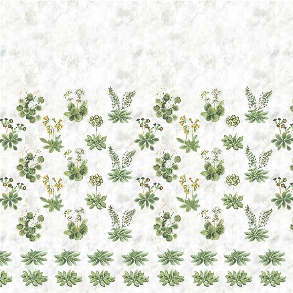 Papier peint panoramique Primevère Designers Guild motif floral botanique