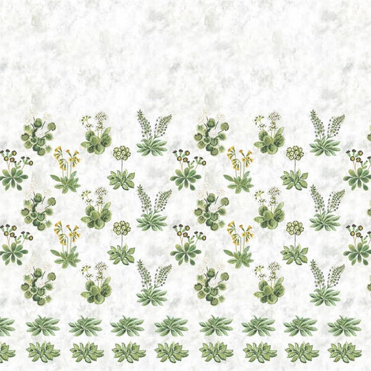 Papier peint panoramique Primevère Designers Guild motif floral botanique