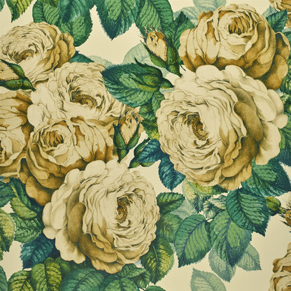 Papier peint The Rose John Derian motif rose vintage sepia