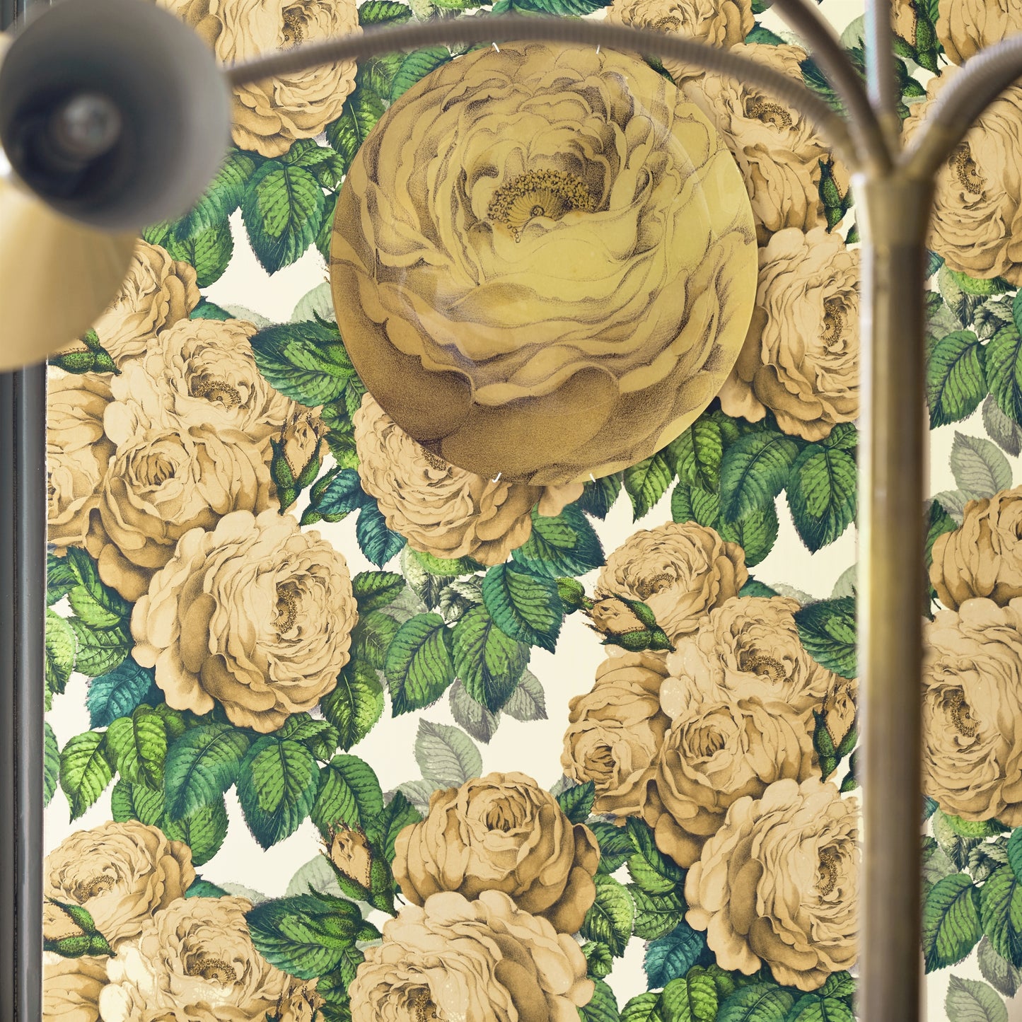 détail Papier peint The Rose John Derian motif rose vintage