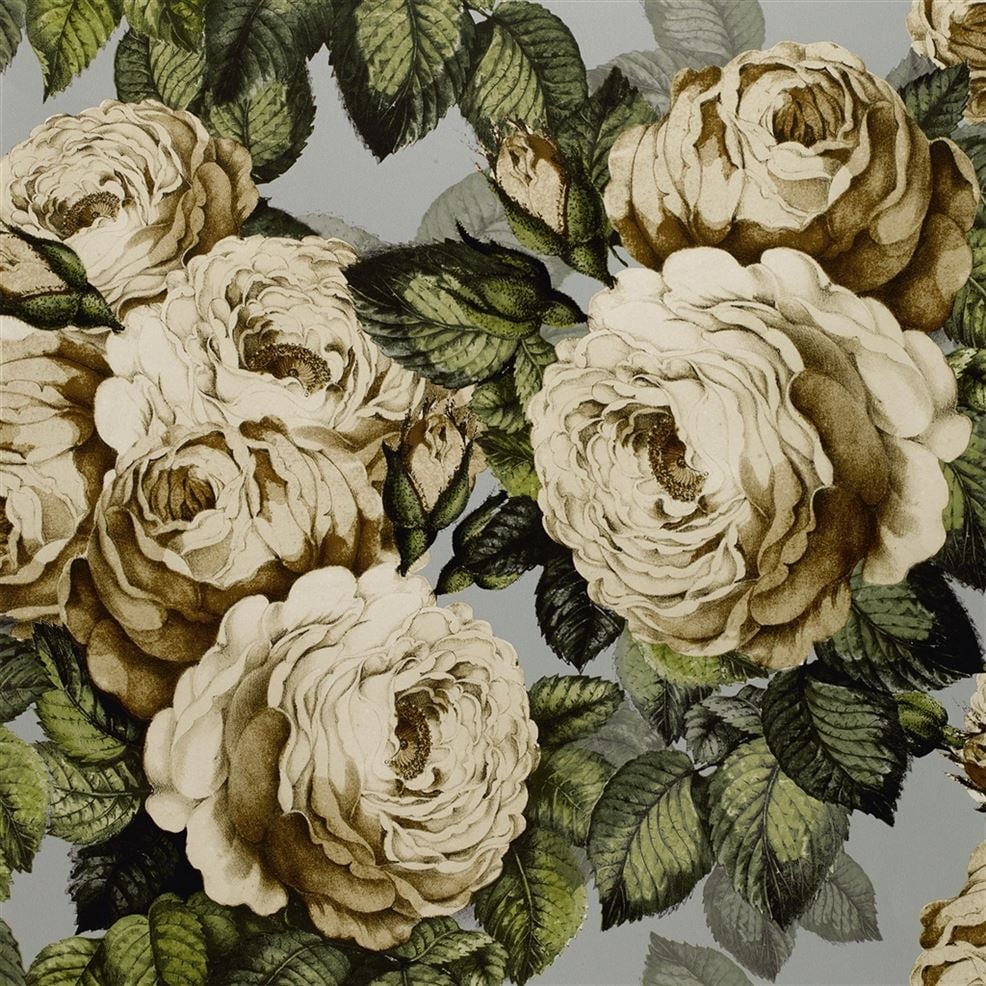 Papier peint The Rose John Derian motif rose vintagesteel