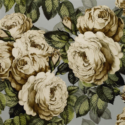Papier peint The Rose John Derian motif rose vintagesteel