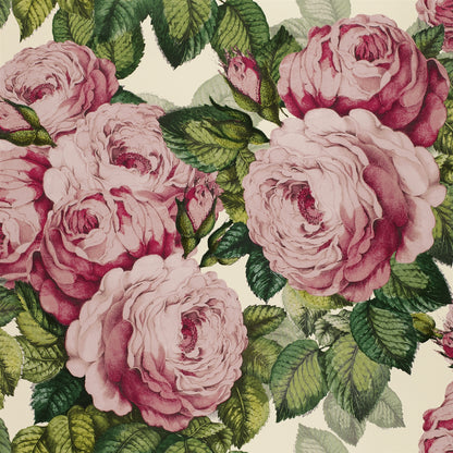 Papier peint The Rose John Derian motif rose vintage tuberose