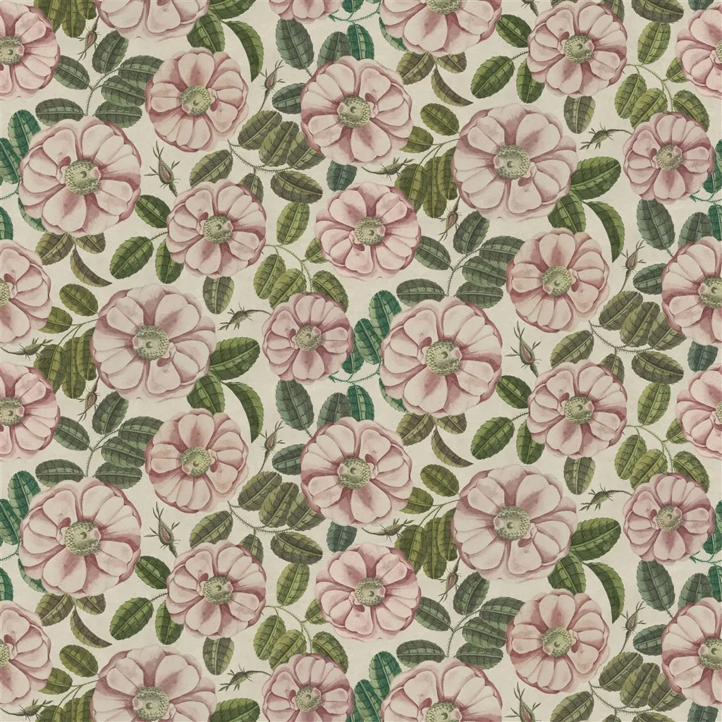 Tissu La Rose Rose John Derian motif rose vintage
