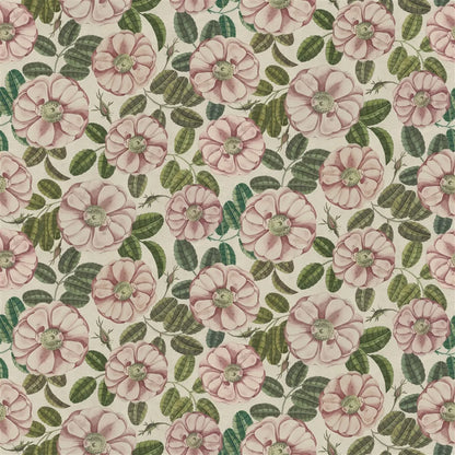 Tissu La Rose Rose John Derian motif rose vintage
