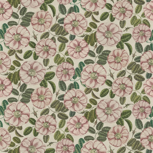 Tissu La Rose Rose John Derian motif rose vintage